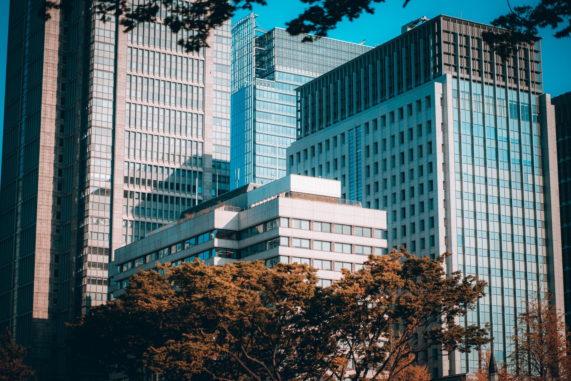 Japan bond yields deepen divide in regional bank stocks