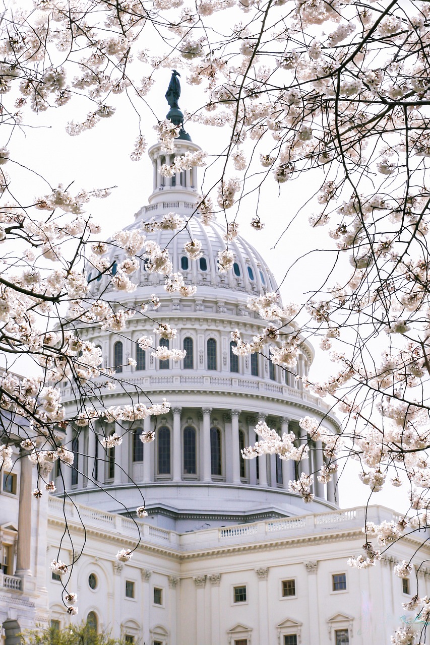 The US Capitol, where lawmakers are negotiating crypto market-structure legislation.