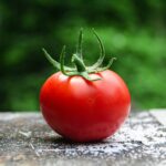 red tomato on gray concrete surface